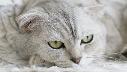 水平如何？巴萨晒亚马尔投篮视频，连续命中两球